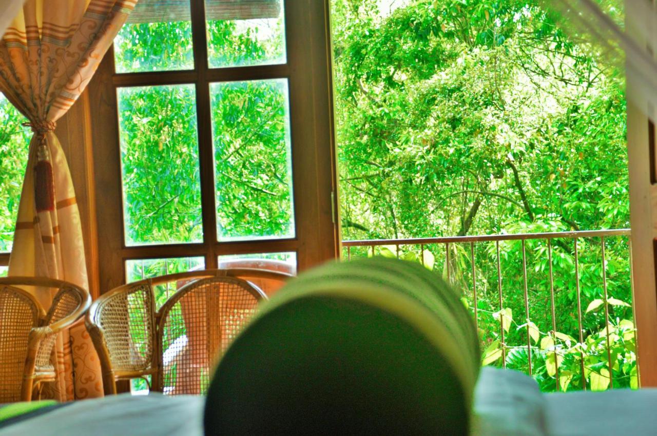 Green Cottage Ella Bagian luar foto