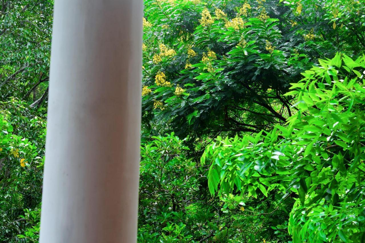 Green Cottage Ella Bagian luar foto
