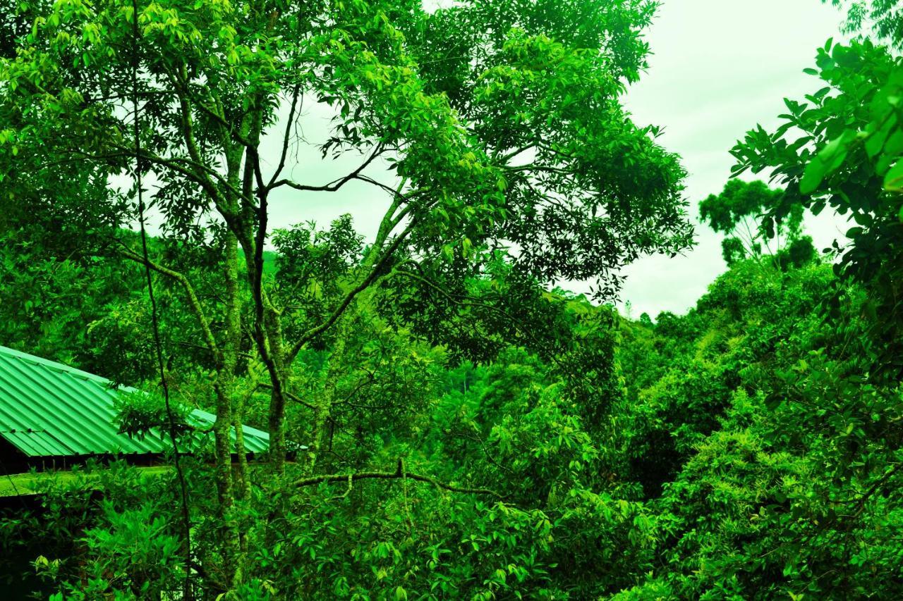 Green Cottage Ella Bagian luar foto