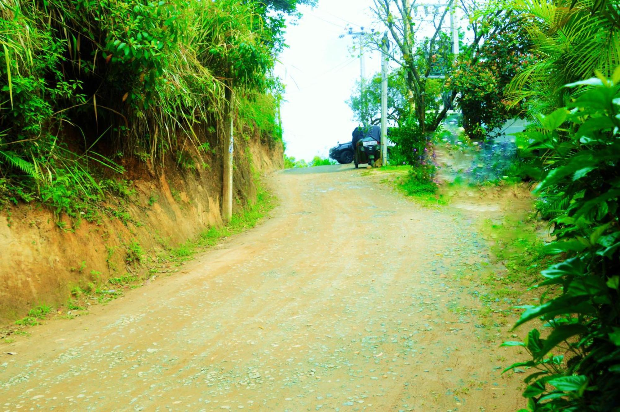 Green Cottage Ella Bagian luar foto