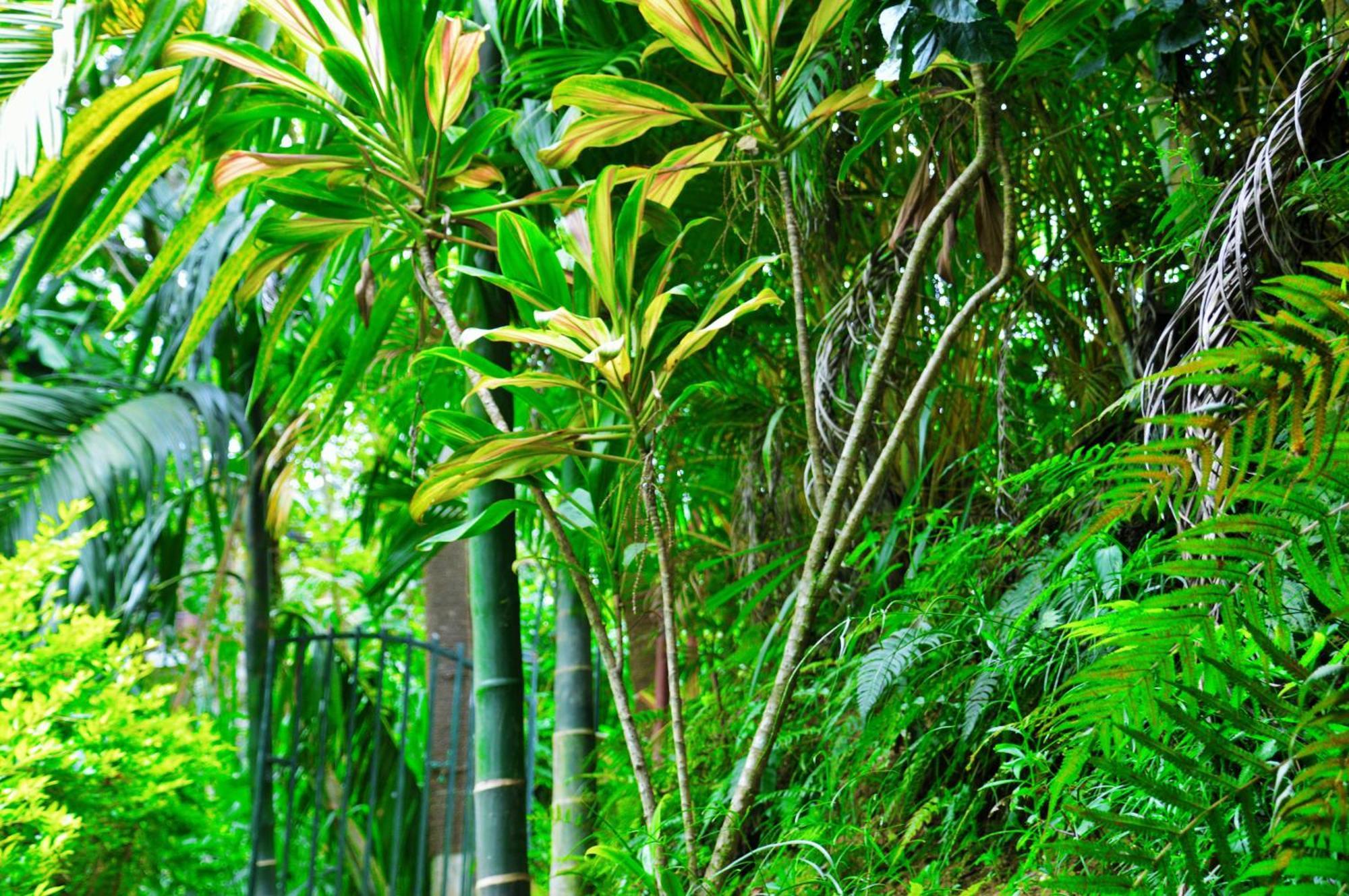 Green Cottage Ella Bagian luar foto